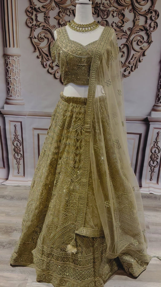 Beautiful bridal lehnga